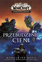 World of Warcraft Przebudzenie cieni - Madeleine Roux