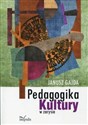 Pedagogika kultury w zarysie - Janusz Gajda