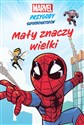 Mały znaczy wielki Marvel Przygody superbohaterów - MacKenzie Cadenhead, Sean Ryan