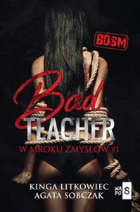 Bad Teacher W mroku zmysłów 