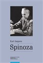 Spinoza  - Karl Jaspers