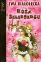 Róża Selerbergu