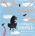 30 znikających trampolin - Dorota Kassjanowicz