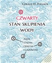 Czwarty stan skupienia wody Poza stałym, ciekłym i gazowym