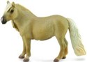 Klacz Falabella Mare Palomino - 