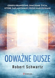 Odważne dusze Odkryj prawdziwe znaczenie życia, które zaplanowałeś przed narodzinami - Księgarnia UK