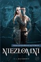 Niezłomni - C.J. Daugherty