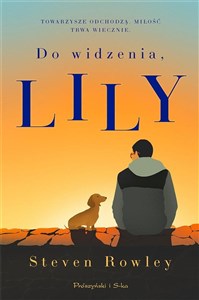 Do widzenia, Lily DL