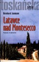 Latawce nad Montesecco