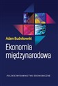 Ekonomia międzynarodowa - Adam Budnikowski