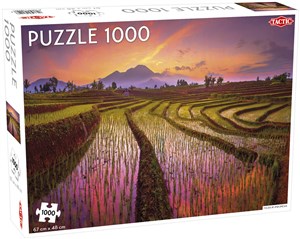 Puzzle Fields in Indonesia 1000 - Księgarnia UK