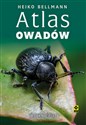 Atlas owadów - Heiko Bellmann