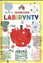 Zakręcone labirynty