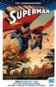 Superman Tom 5 Nadzieje i lęki - Peter J. Tomasi, Patrick Gleason, Keith Champagne, James Bonny