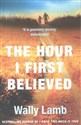 Hour I First Believed - Wally Lamb