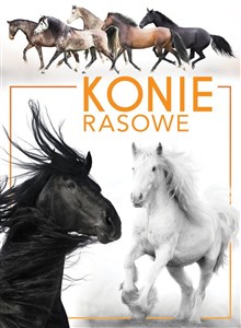 Konie rasowe