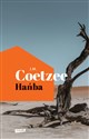 Hańba - John Maxwell Coetzee