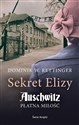 Sekret Elizy Auschwitz Płatna miłość - Dominik W. Rettinger