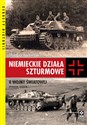 Niemieckie działa szturmowe II wony światowej - Thomas Anderson