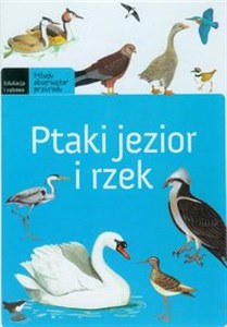 Ptaki jezior