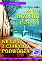 [Audiobook] Marcin Kozera / Przyjaźń / Wilczęta z czarnego podwórza