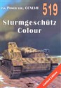 Sturmgeschutz Colour. Tank Power vol. CCXLVII 519 