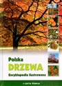 Polska Drzewa Encyklopedia ilustrowana - Anna Przybyłowicz