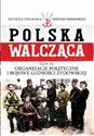 Organizacje polityczne i bojowe ludności żydowskiej