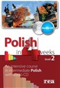Polski w 4 tygodnie dla Anglików. Etap 2 