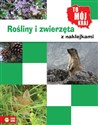 To mój kraj Zwierzęta  i rośliny