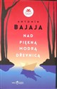 Nad piękną modrą Drewnicą - Antonin Bajaja