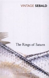 The Rings of Saturn