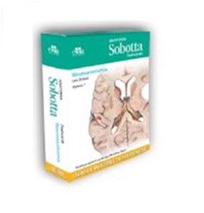 Anatomia Sobotta Flashcards Neuroanatomia Łacińskie mianownictwo anatomiczne