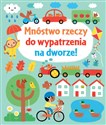 Mnóstwo rzeczy do wypatrzenia na dworze - Fiona Watt