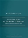 Stosunek pracy na podstawie powołania - zarys modelu instytucji - Renata Borek-Buchajczuk