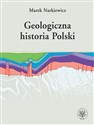 Nie całkiem obce Zapożyczenia wyrazowe w języku polskim i czeskim - Joanna Rączaszek-Leonardi, Mirosław Bańko, Diana Svobodova, Marcin Tatjewski