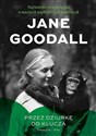 Przez dziurkę od klucza DL - Jane Goodall