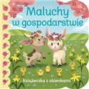 Maluchy w gospodarstwie. Książeczka z okienkami  - Ginger Swift, Chie Y Boyd (ilustr.)