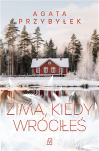 Zima, kiedy wróciłeś  - Księgarnia UK