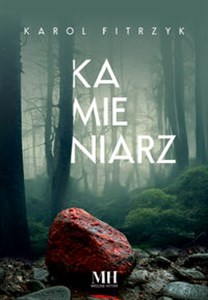 Kamieniarz  - Księgarnia UK