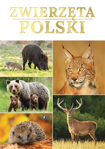 Zwierzęta Polski  - Księgarnia UK