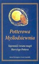 Potterowa myślodsiewnia Tajemnice świata magii Harry'ego Pottera