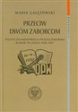 Przeciw dwóm zaborcom Polityczna konspiracja piłsudczykowska w kraju w latach 1939-1947