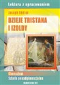 Dzieje Tristana i Izoldy Joseph Bedier Lektura z opracowaniem