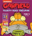 Garfield Tłusty koci trójpak Tom 11