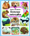 Domowe zwierzątka Świat w obrazkach