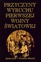 Przyczyny wybuchu pierwszej wojny światowej