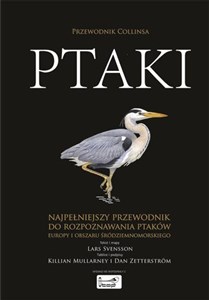 Ptaki Przewodnik Collinsa - Księgarnia UK