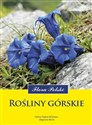 Rośliny górskie - Halina Piękoś-Mirkowa, Zbigniew Mirek