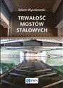 Trwałość mostów stalowych